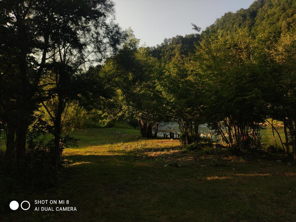 Private Accommodation Kalezic 모이코바츠 외부 사진
