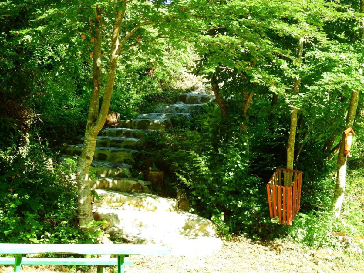 Private Accommodation Kalezic 모이코바츠 외부 사진