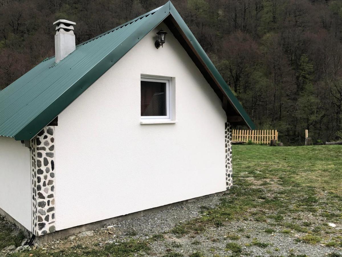 Private Accommodation Kalezic 모이코바츠 외부 사진