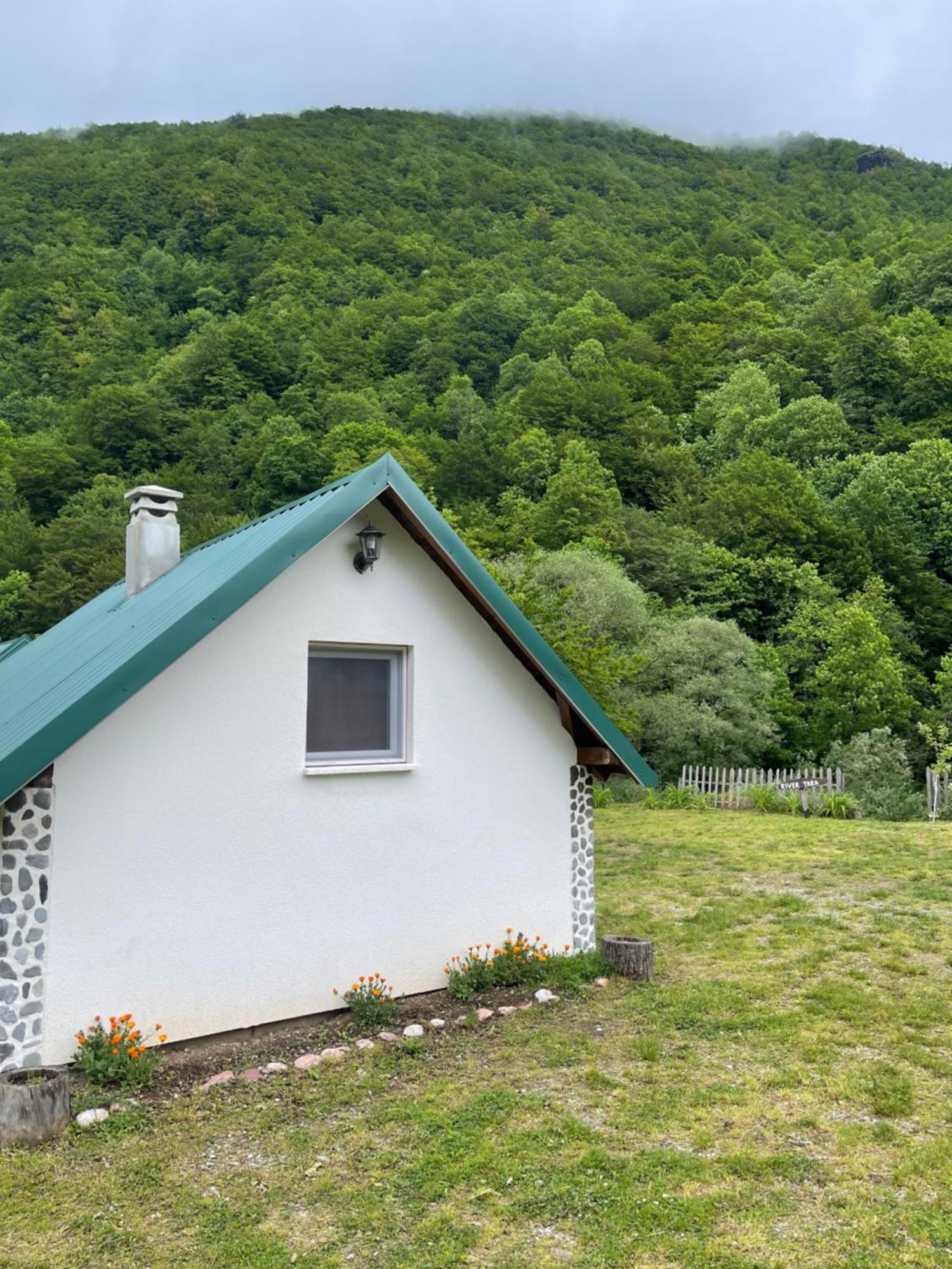 Private Accommodation Kalezic 모이코바츠 외부 사진